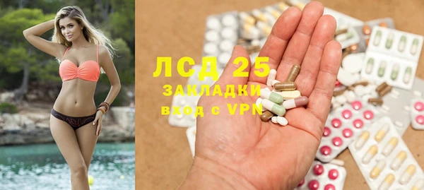 трава Бородино