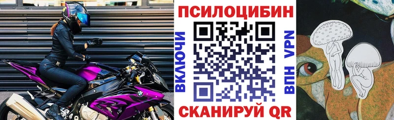 Псилоцибиновые грибы мицелий  гидра сайт  Неман  как найти закладки 